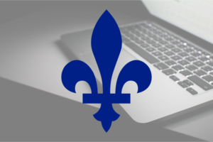 Adapter son approche au consommateur numérique québécois